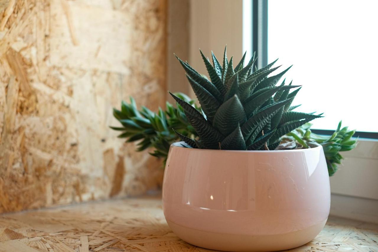 Friendly Border City Design Apartments Lisboa Εξωτερικό φωτογραφία